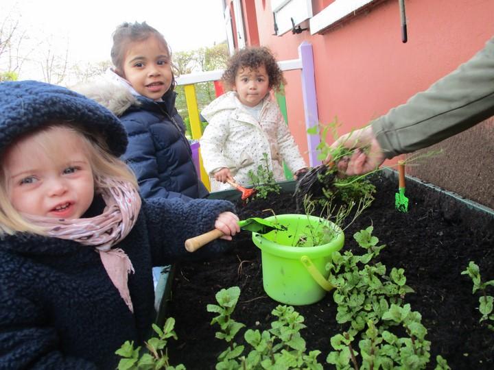 Nettoyage de la jardiniere copier